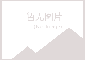 鹤岗东山以海金属有限公司